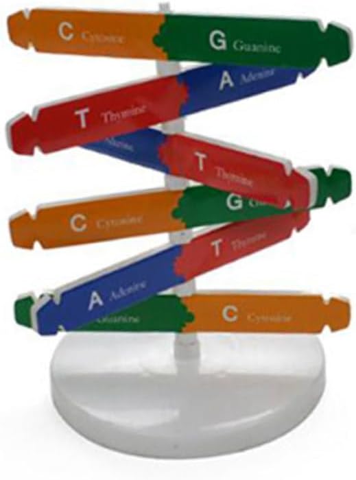 დეენემის მოდელი, საგანმანათლებლო