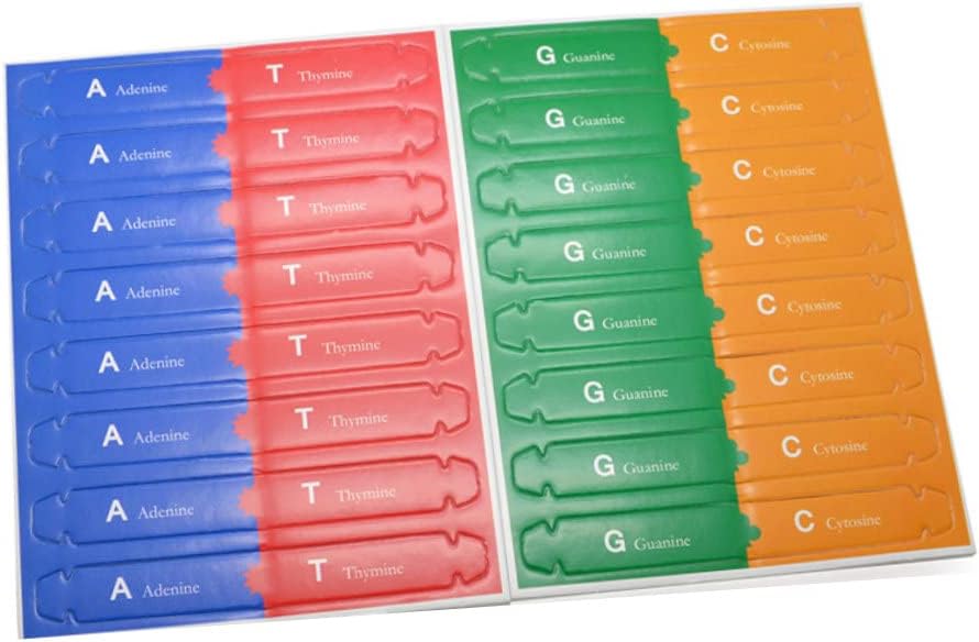 დეენემის მოდელი, საგანმანათლებლო