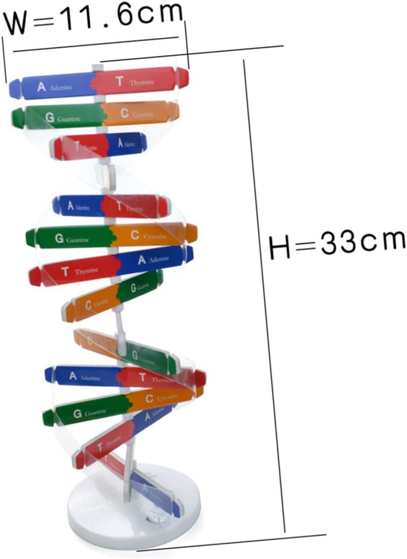 დეენემის მოდელი, საგანმანათლებლო