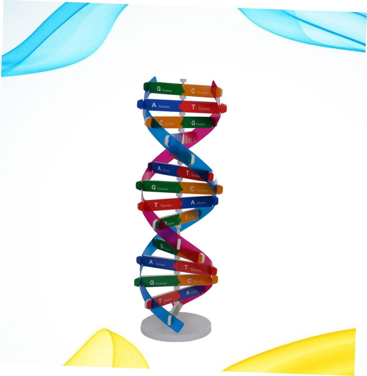 დეენემის მოდელი, საგანმანათლებლო