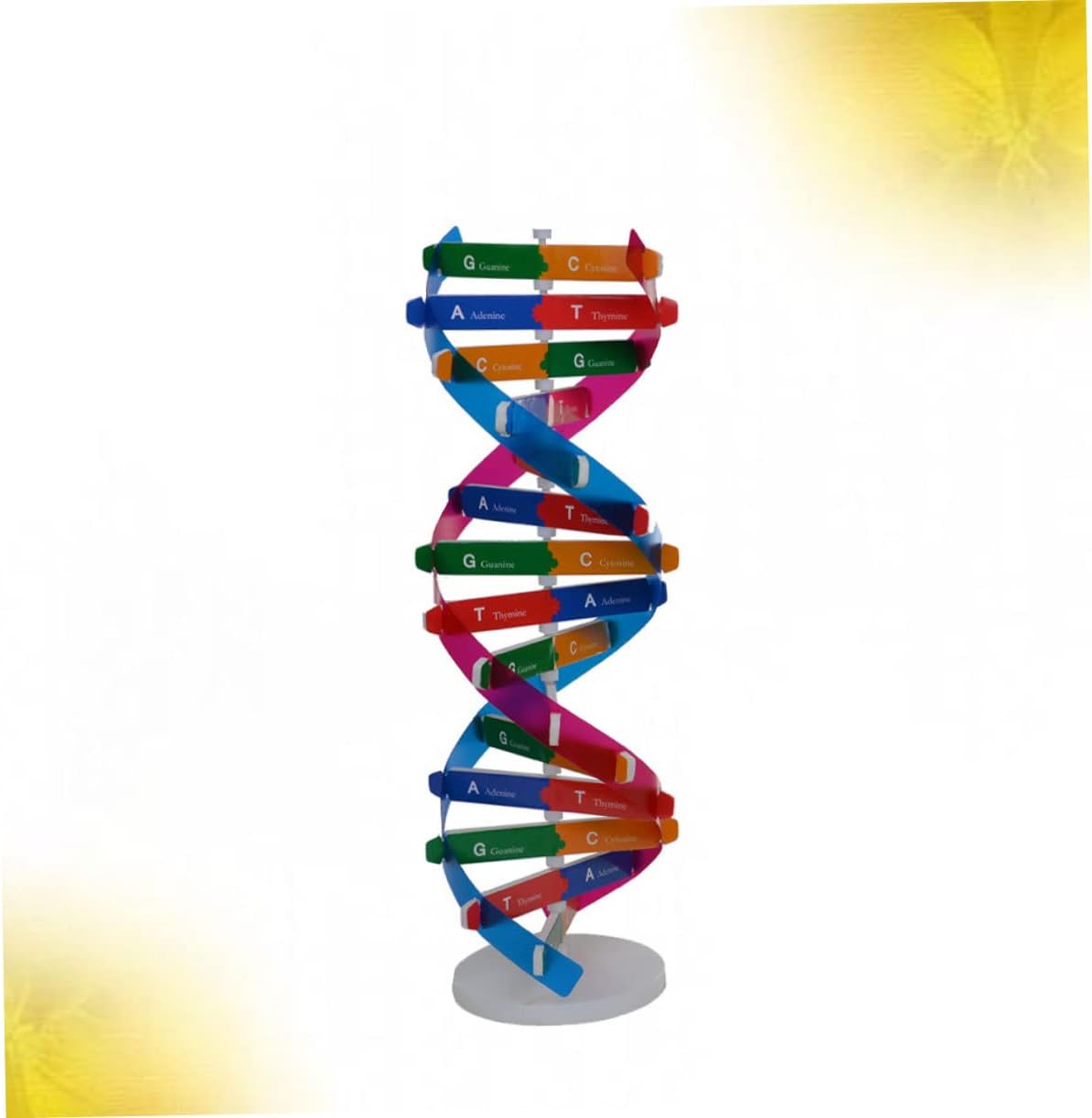 დეენემის მოდელი, საგანმანათლებლო