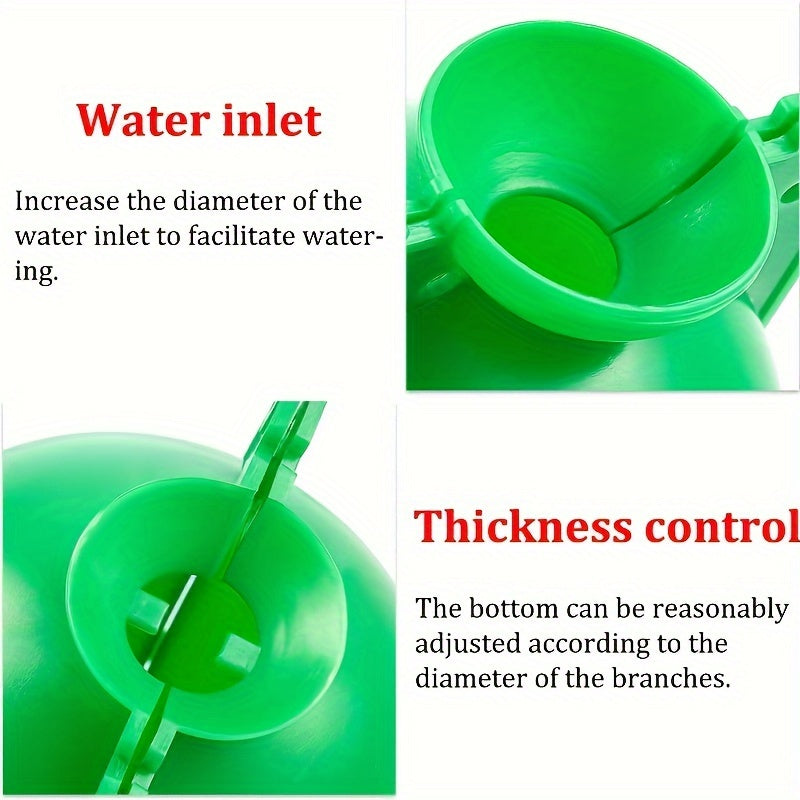 2ც ფესვების ფიქსატორი-გასაზრდელი