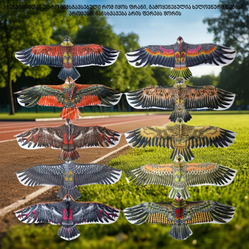 გიგანტური არწივის ფორმის ფრანი