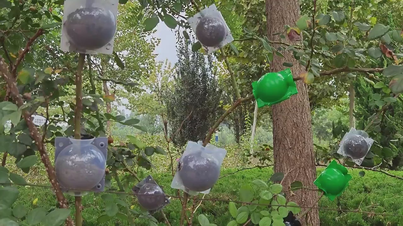 მცენარეთა დასაფესვიანებელი ყუთი 2ც